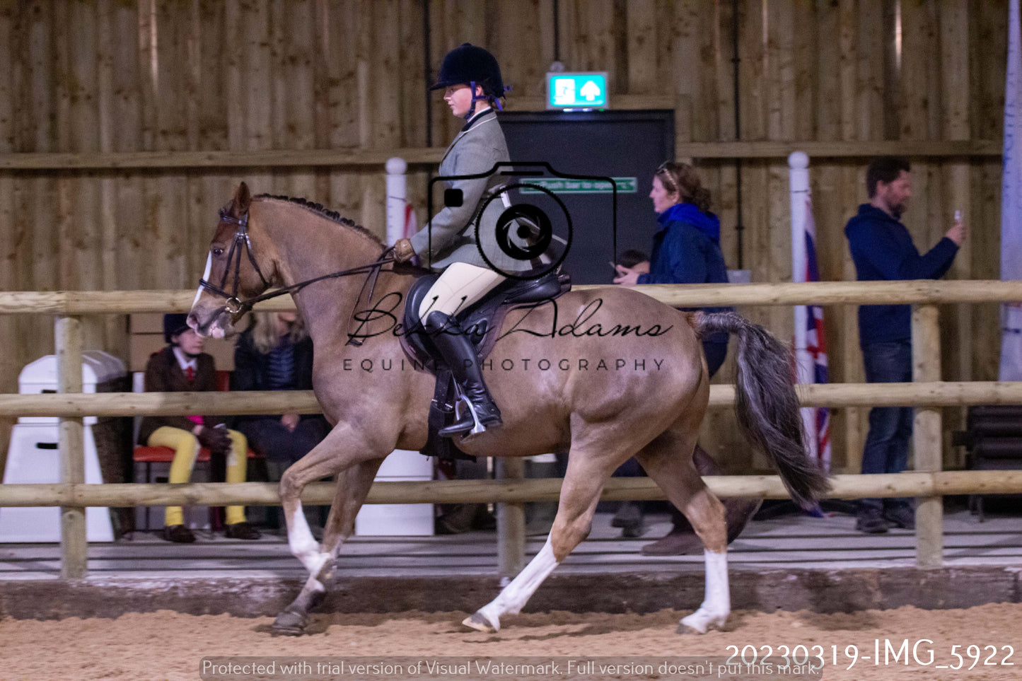 Home Farm Showing 19th March (Ridden) Pt 1