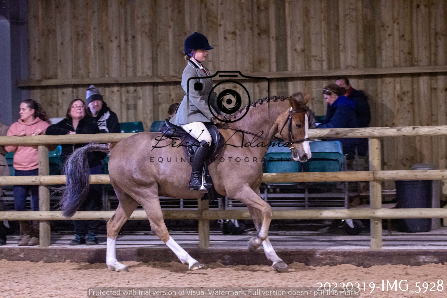 Home Farm Showing 19th March (Ridden) Pt 1