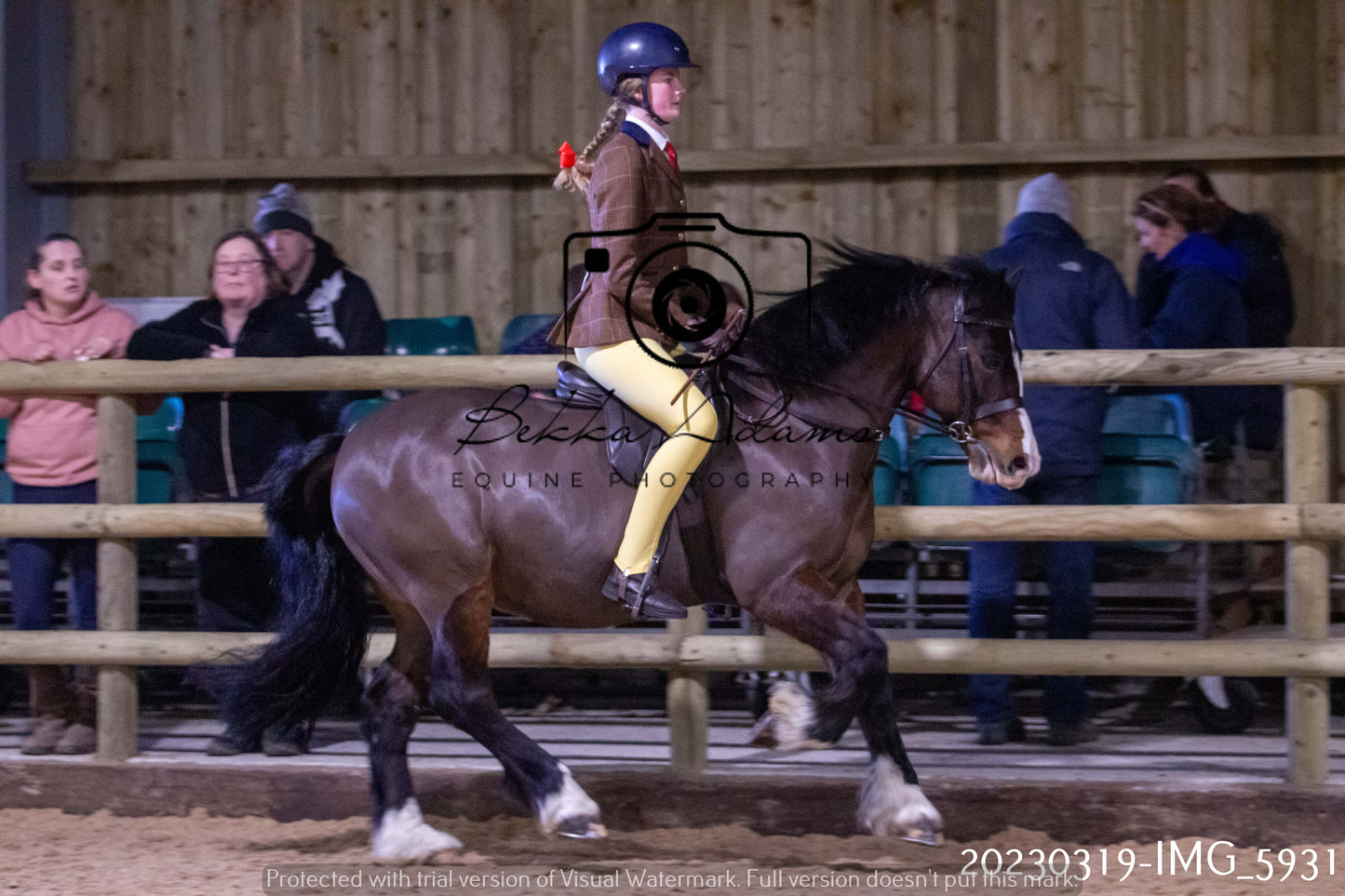 Home Farm Showing 19th March (Ridden) Pt 1