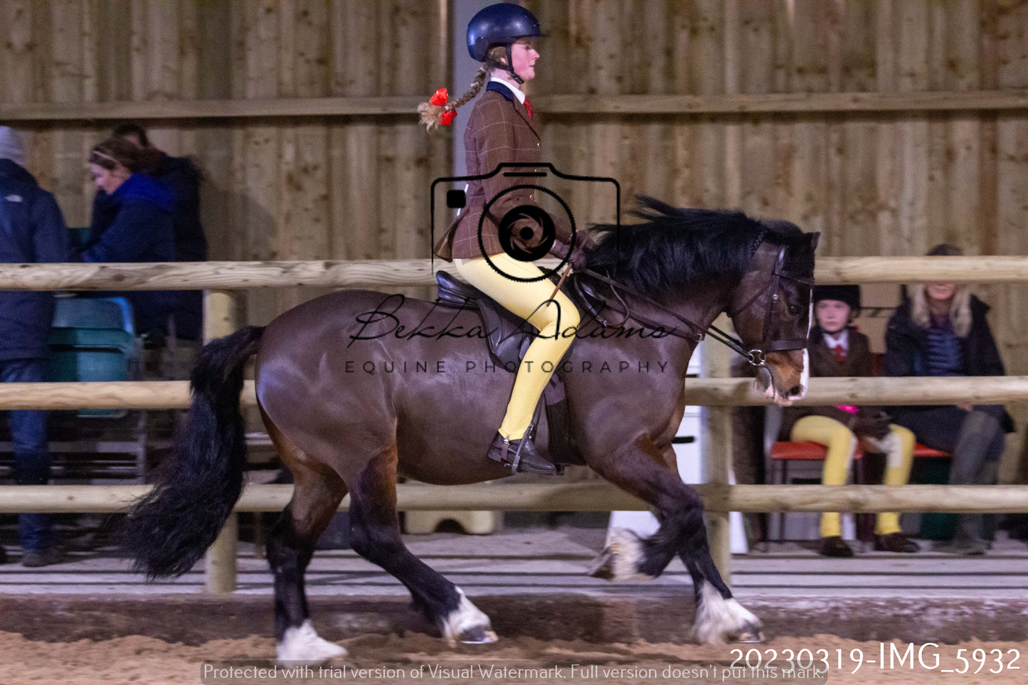 Home Farm Showing 19th March (Ridden) Pt 1