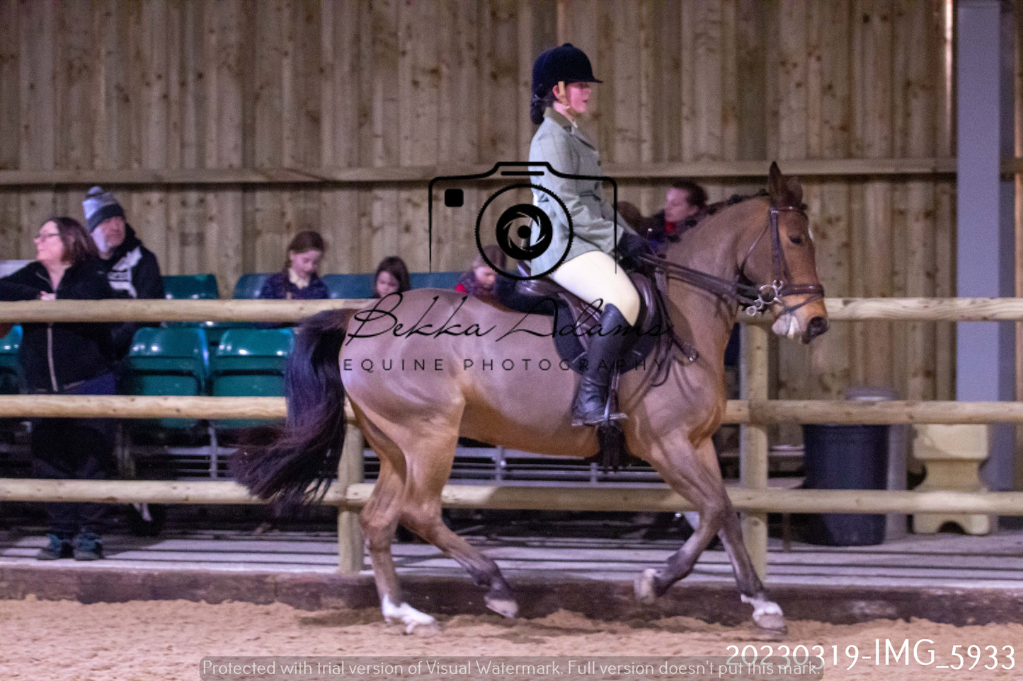 Home Farm Showing 19th March (Ridden) Pt 1