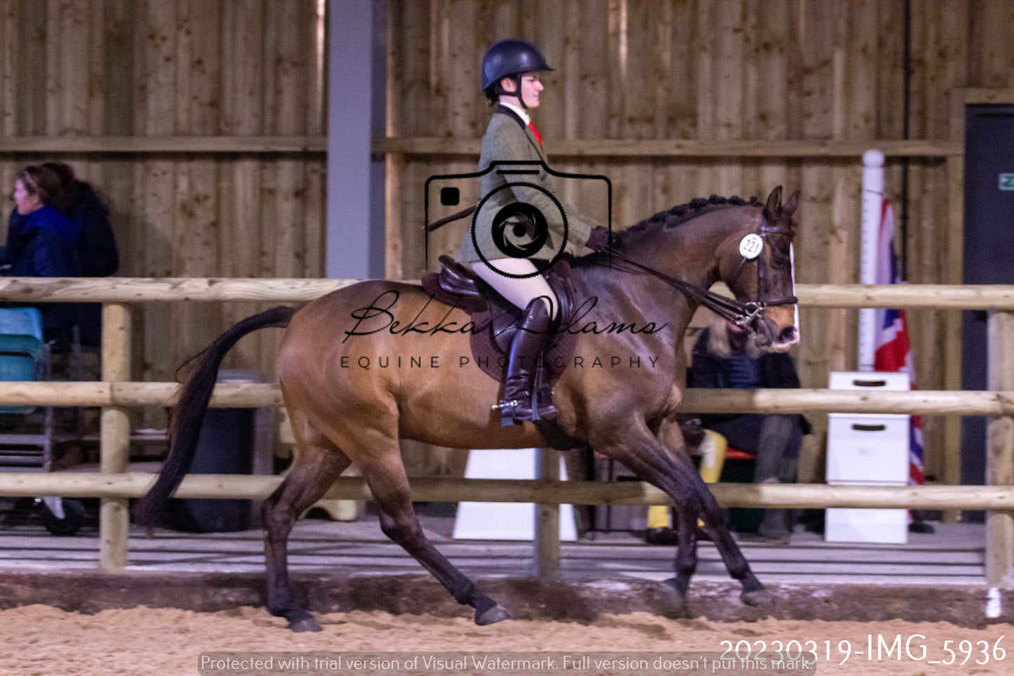 Home Farm Showing 19th March (Ridden) Pt 1