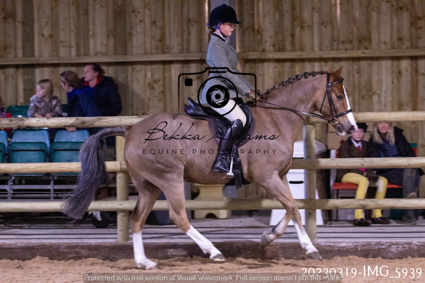 Home Farm Showing 19th March (Ridden) Pt 1