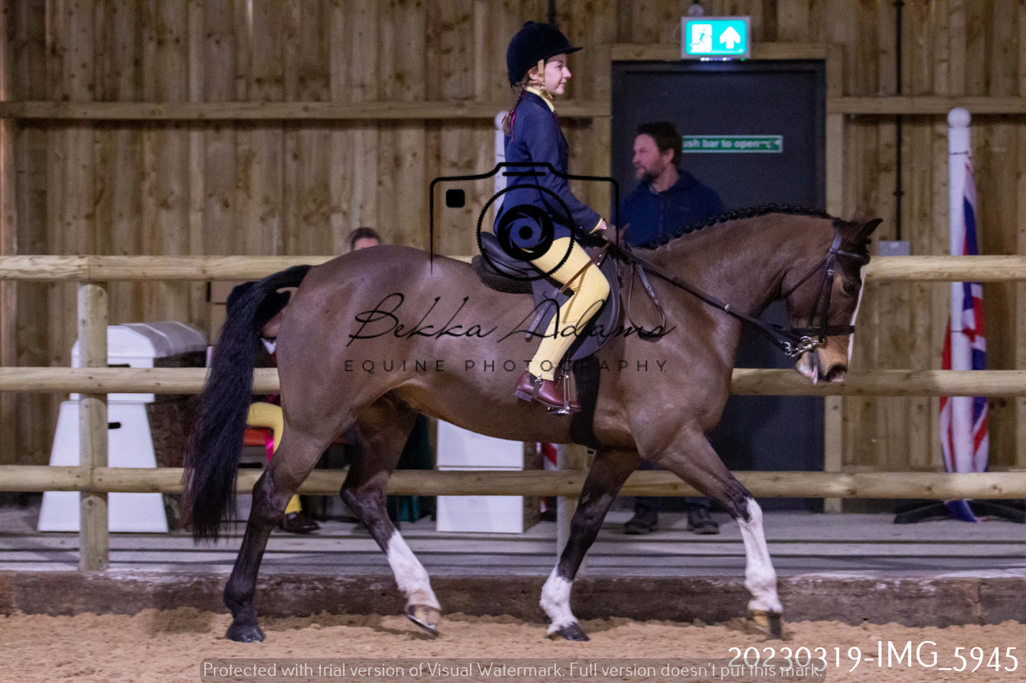 Home Farm Showing 19th March (Ridden) Pt 1