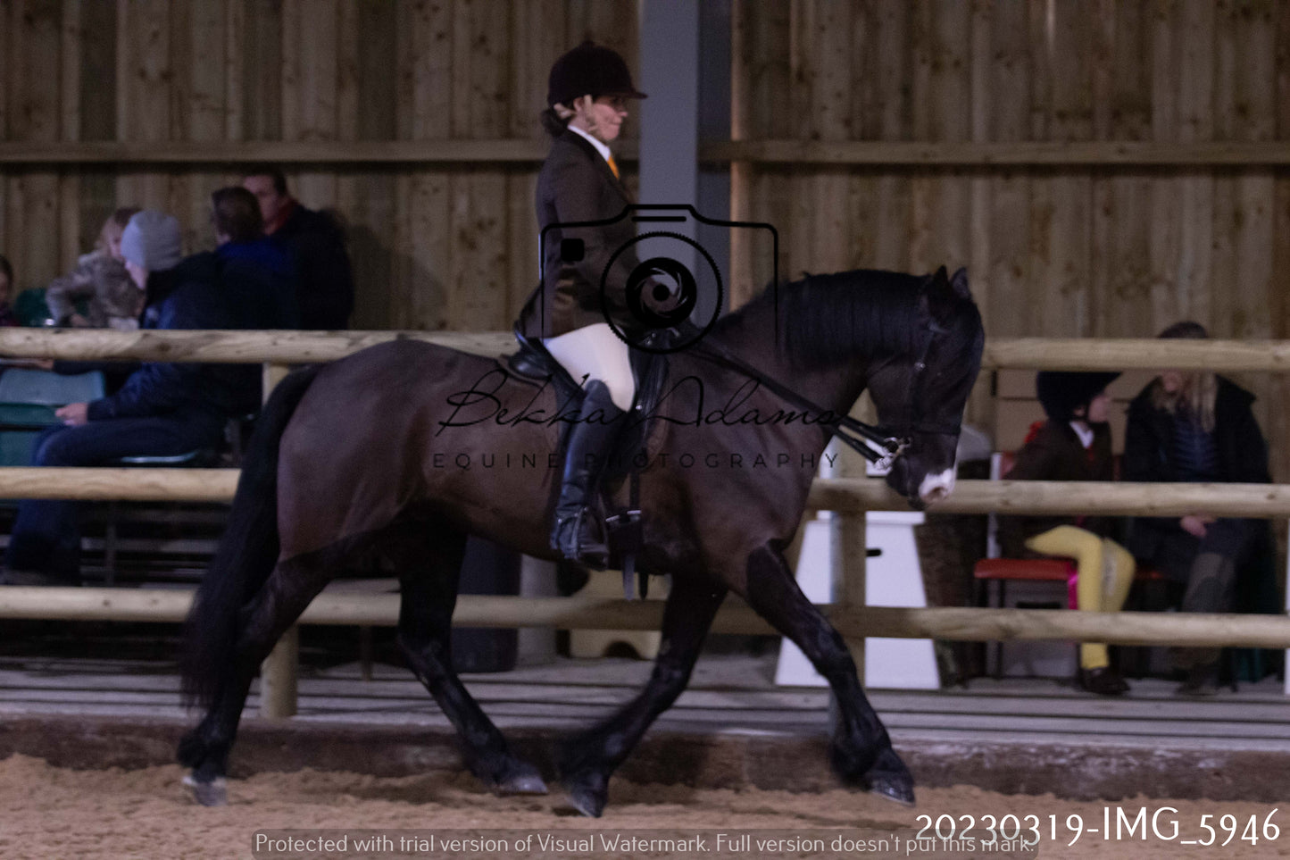 Home Farm Showing 19th March (Ridden) Pt 1