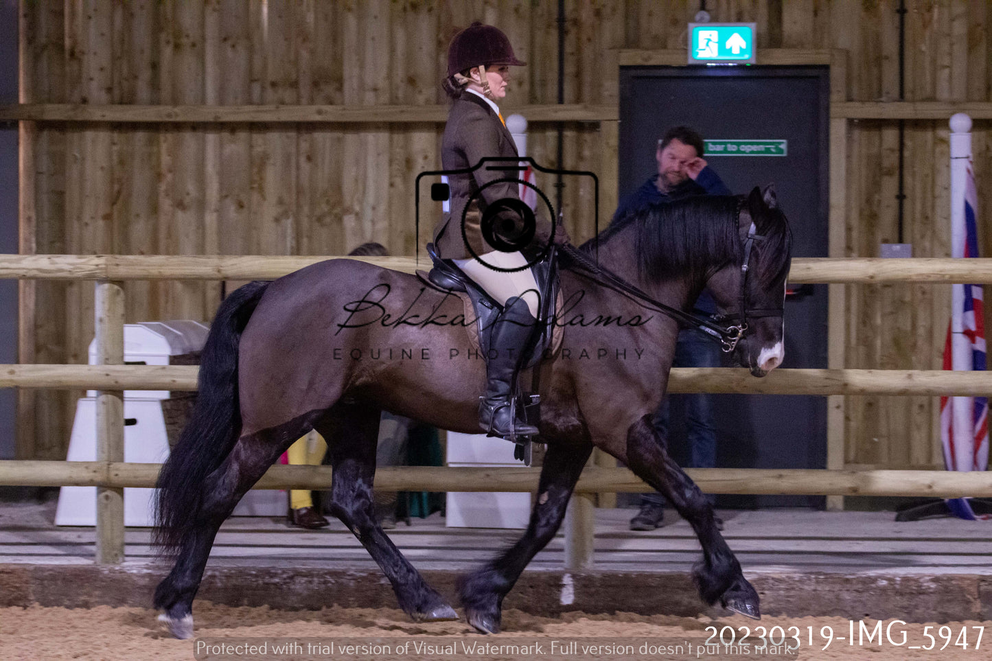 Home Farm Showing 19th March (Ridden) Pt 1