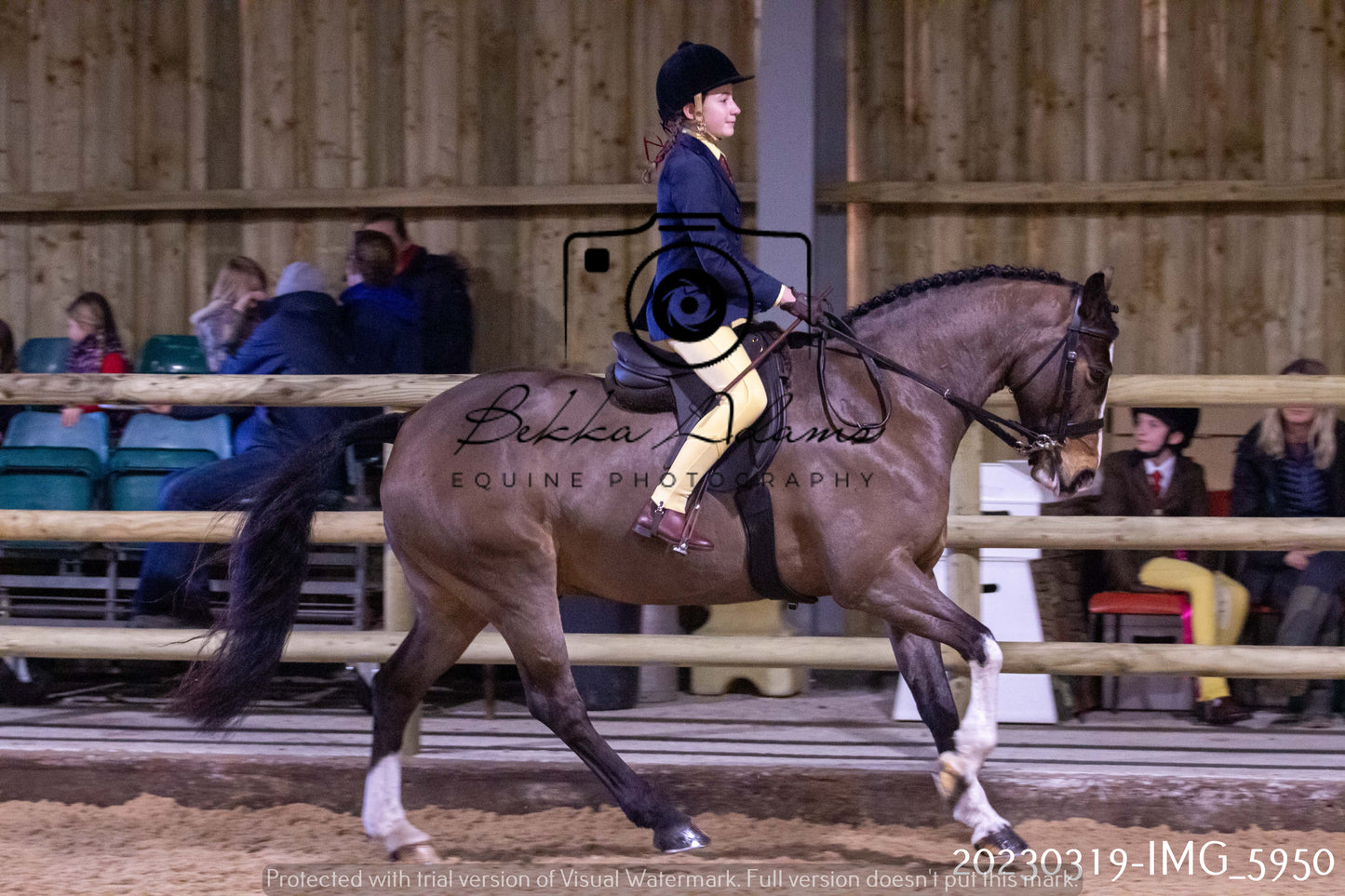 Home Farm Showing 19th March (Ridden) Pt 1