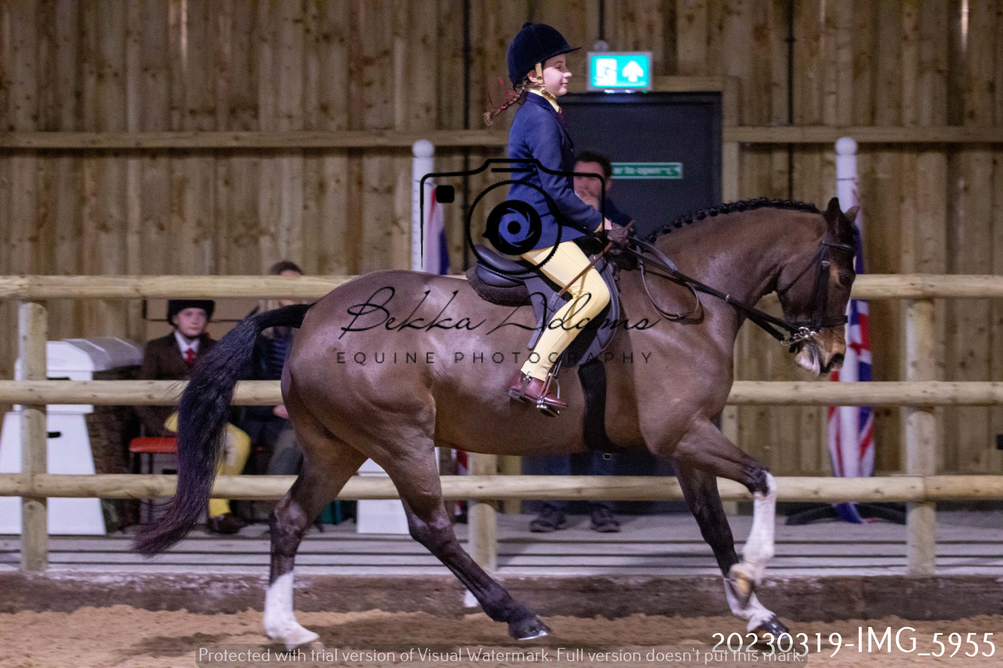 Home Farm Showing 19th March (Ridden) Pt 1