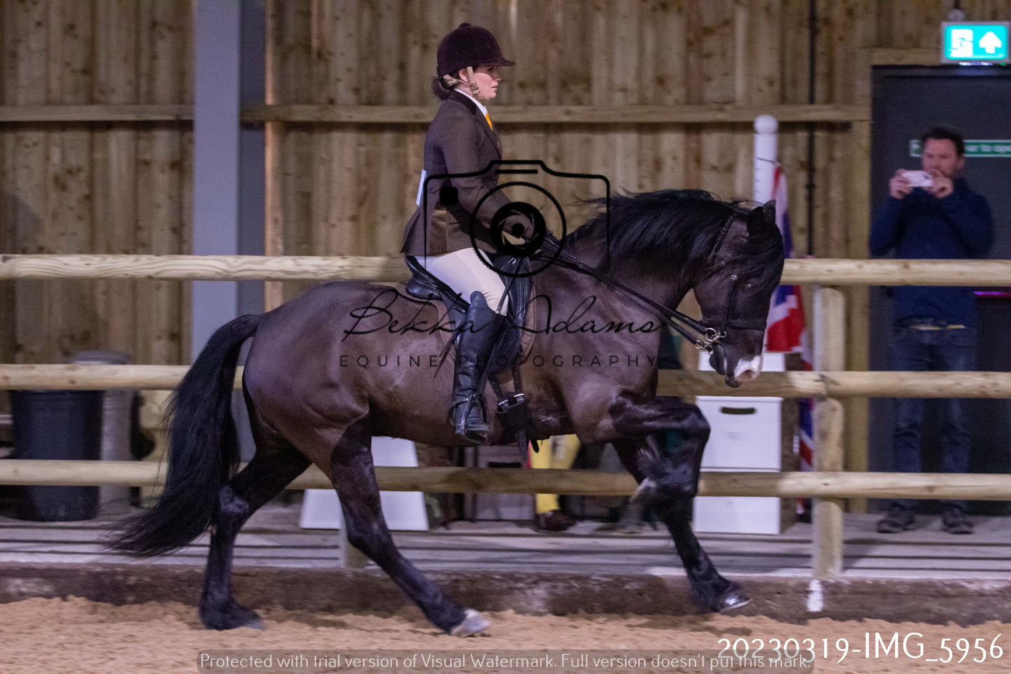 Home Farm Showing 19th March (Ridden) Pt 1