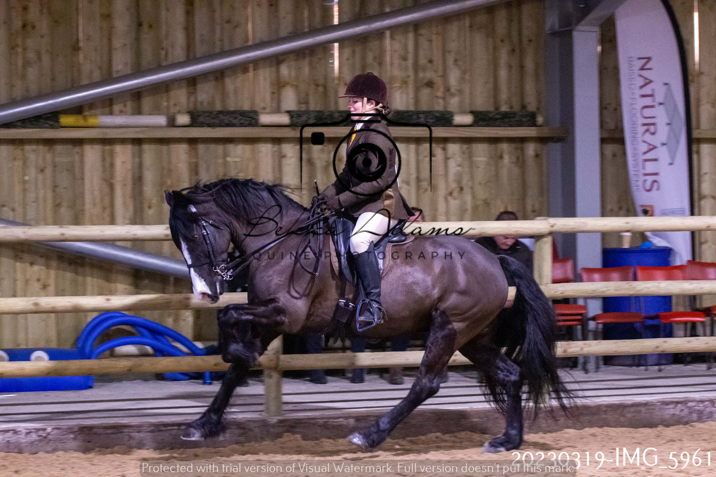 Home Farm Showing 19th March (Ridden) Pt 1