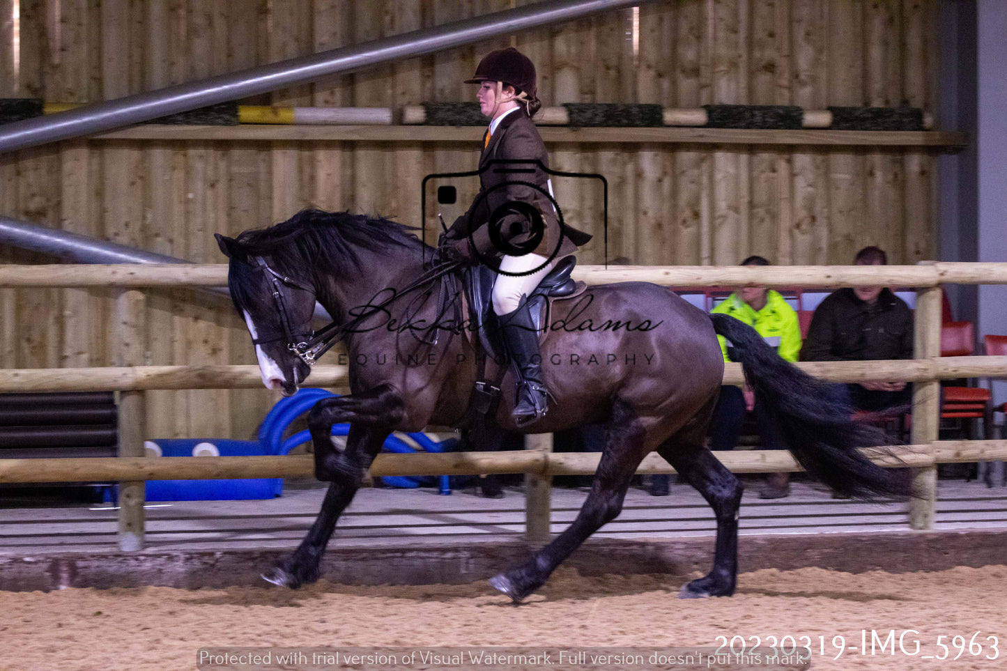 Home Farm Showing 19th March (Ridden) Pt 1