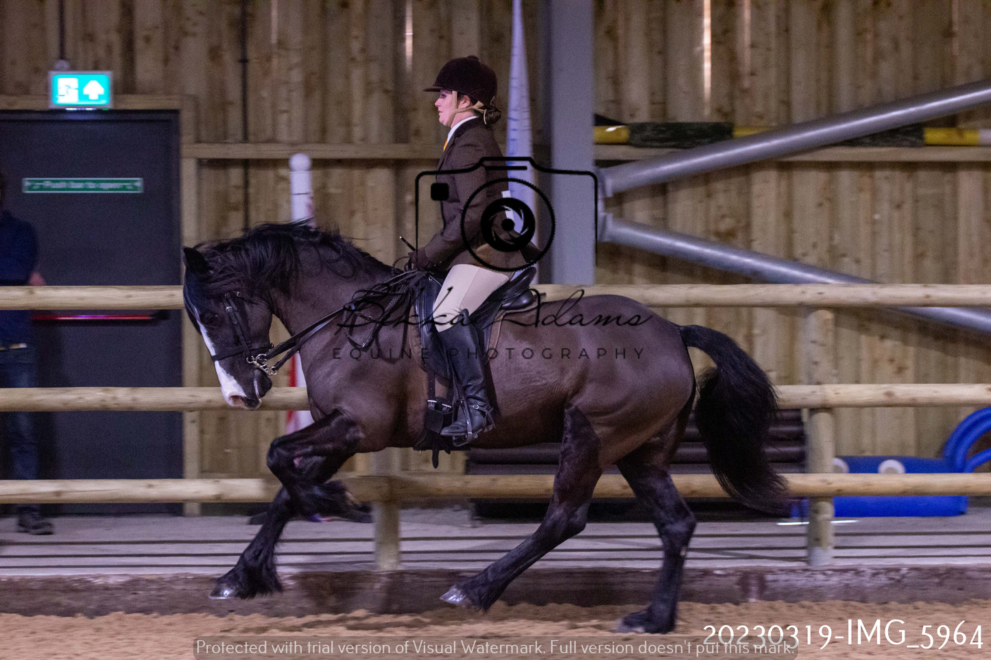 Home Farm Showing 19th March (Ridden) Pt 1