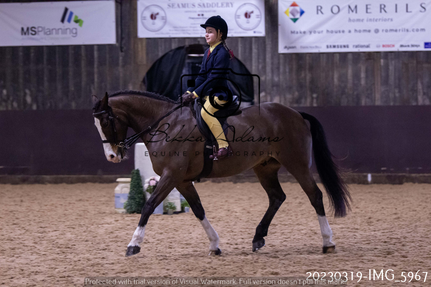 Home Farm Showing 19th March (Ridden) Pt 1