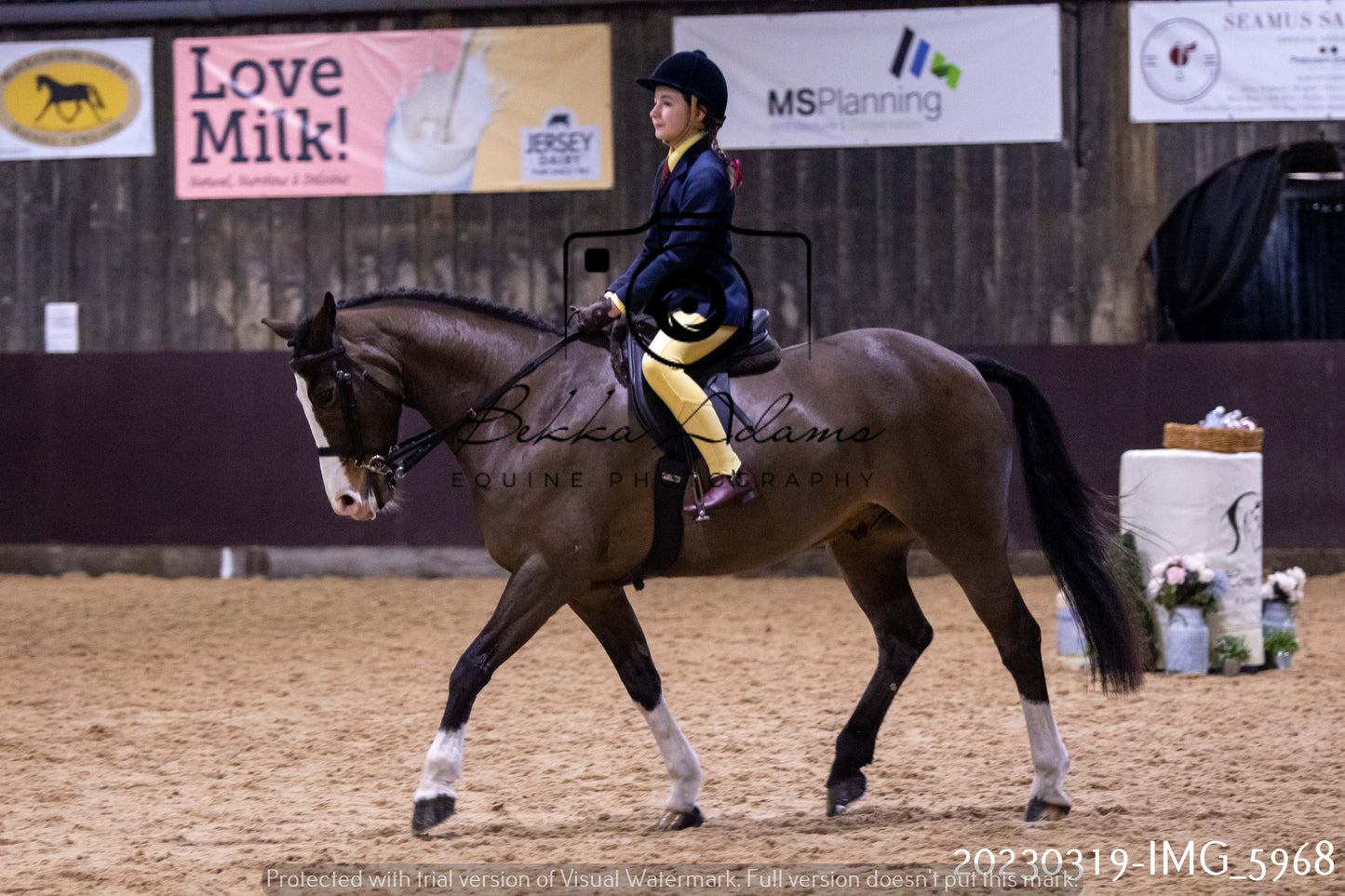 Home Farm Showing 19th March (Ridden) Pt 1