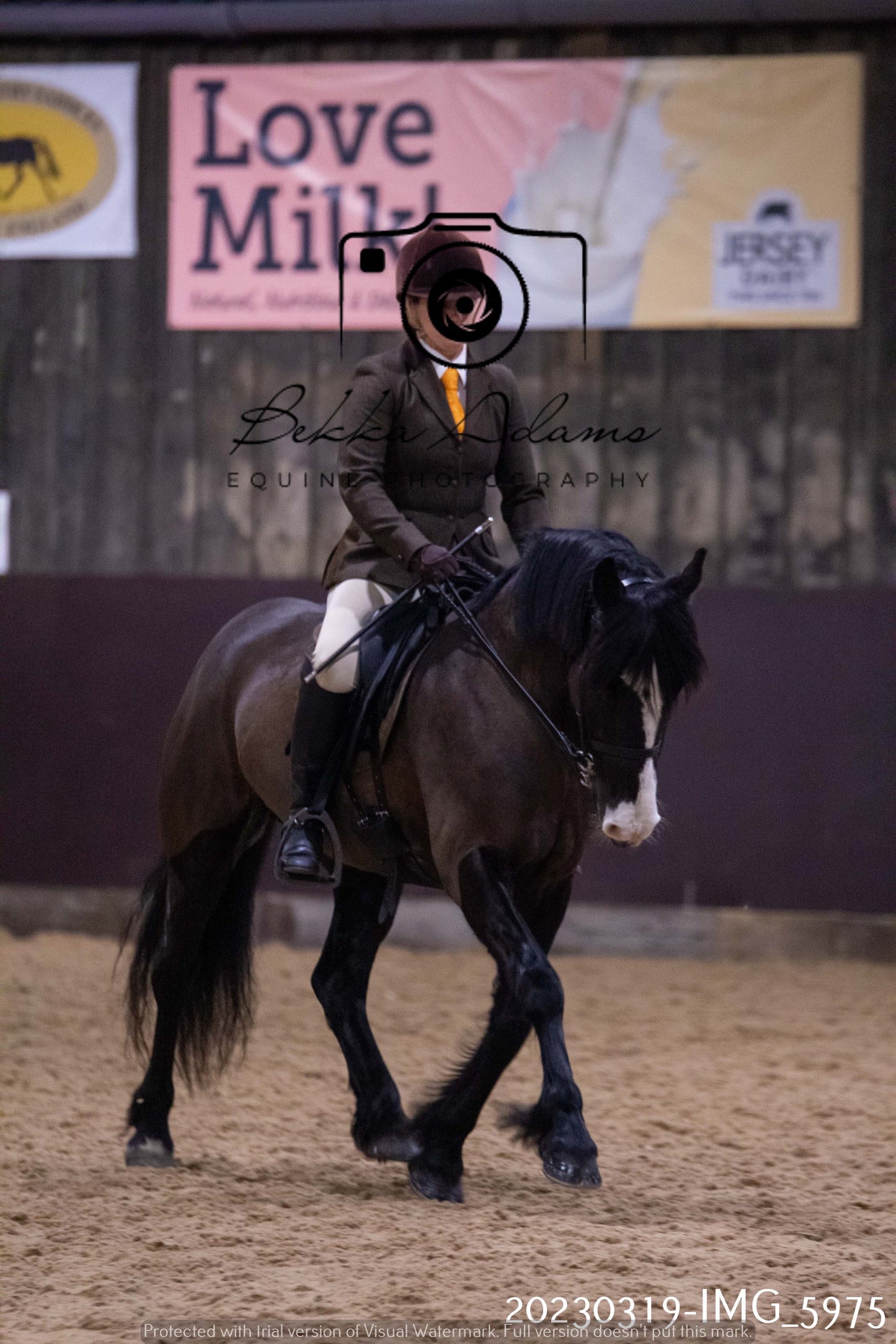 Home Farm Showing 19th March (Ridden) Pt 1
