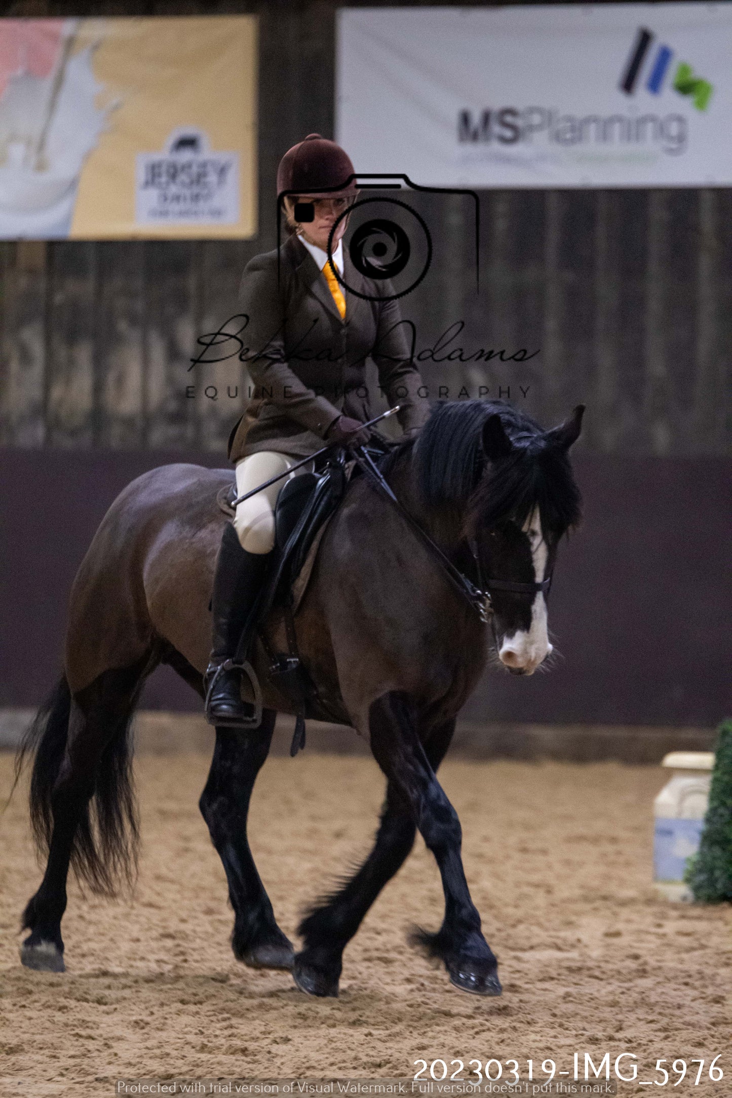 Home Farm Showing 19th March (Ridden) Pt 1