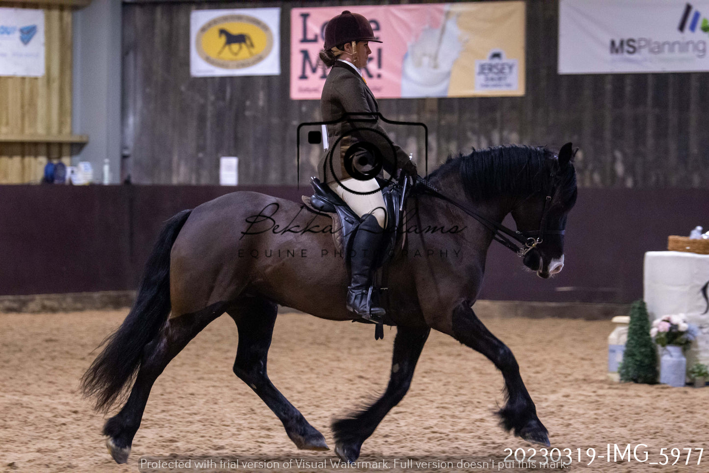 Home Farm Showing 19th March (Ridden) Pt 1