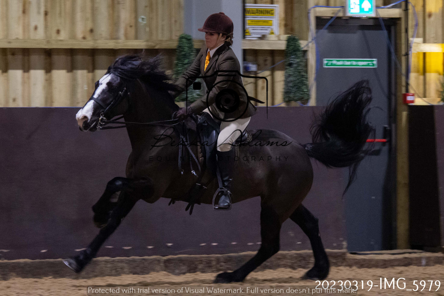 Home Farm Showing 19th March (Ridden) Pt 1