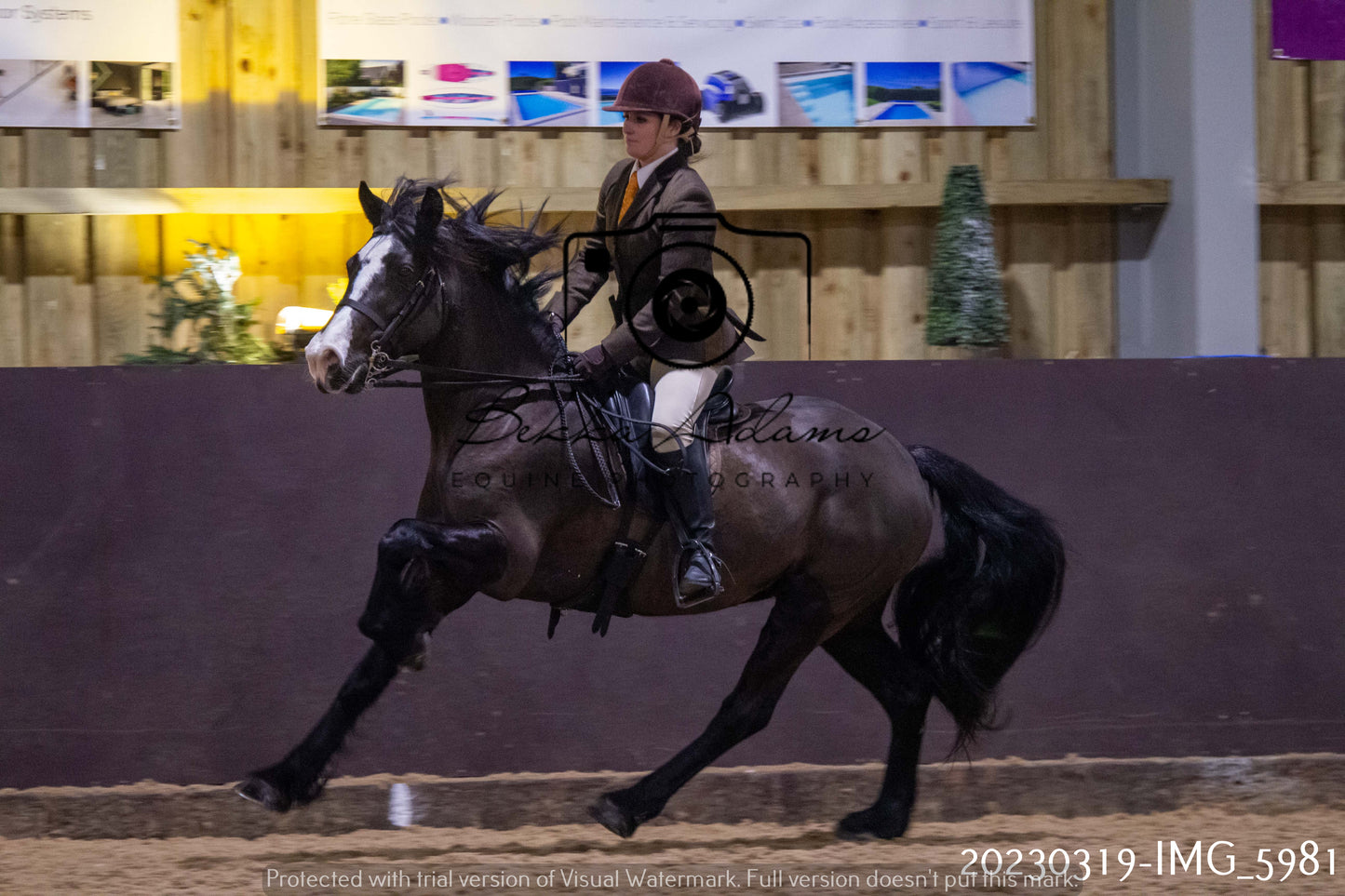 Home Farm Showing 19th March (Ridden) Pt 1
