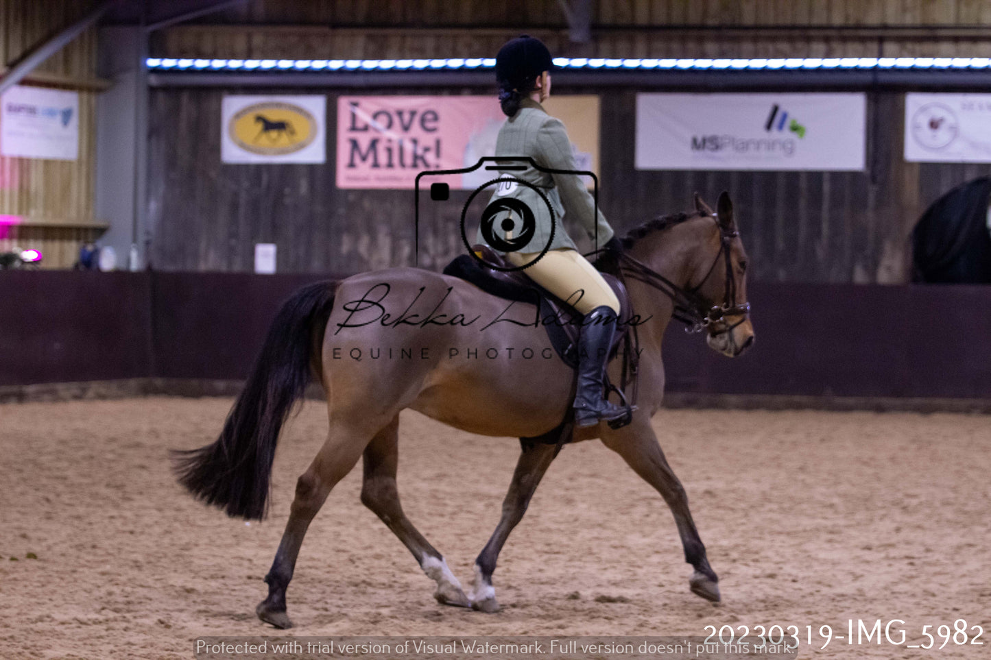 Home Farm Showing 19th March (Ridden) Pt 1