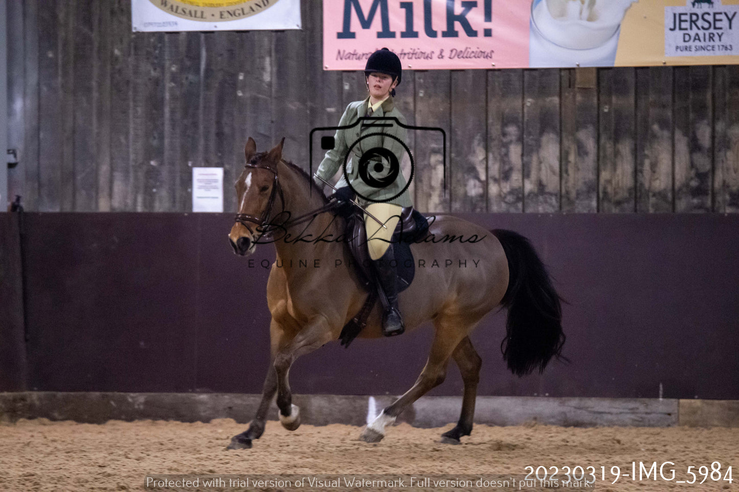Home Farm Showing 19th March (Ridden) Pt 1