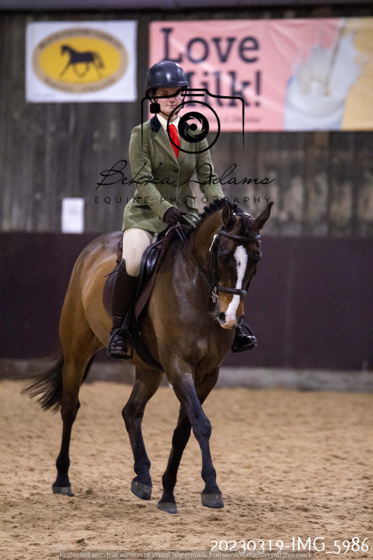 Home Farm Showing 19th March (Ridden) Pt 1
