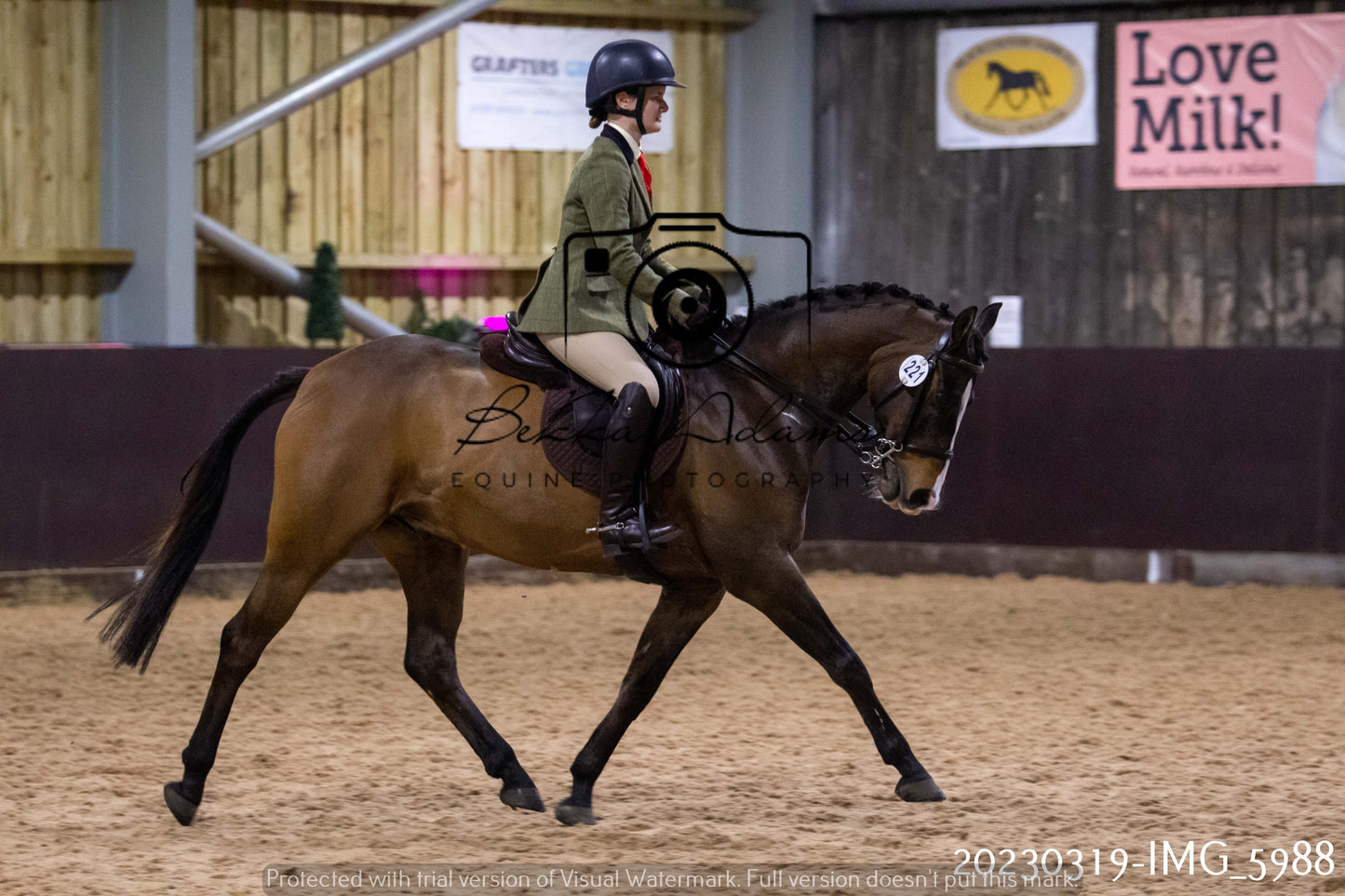 Home Farm Showing 19th March (Ridden) Pt 1