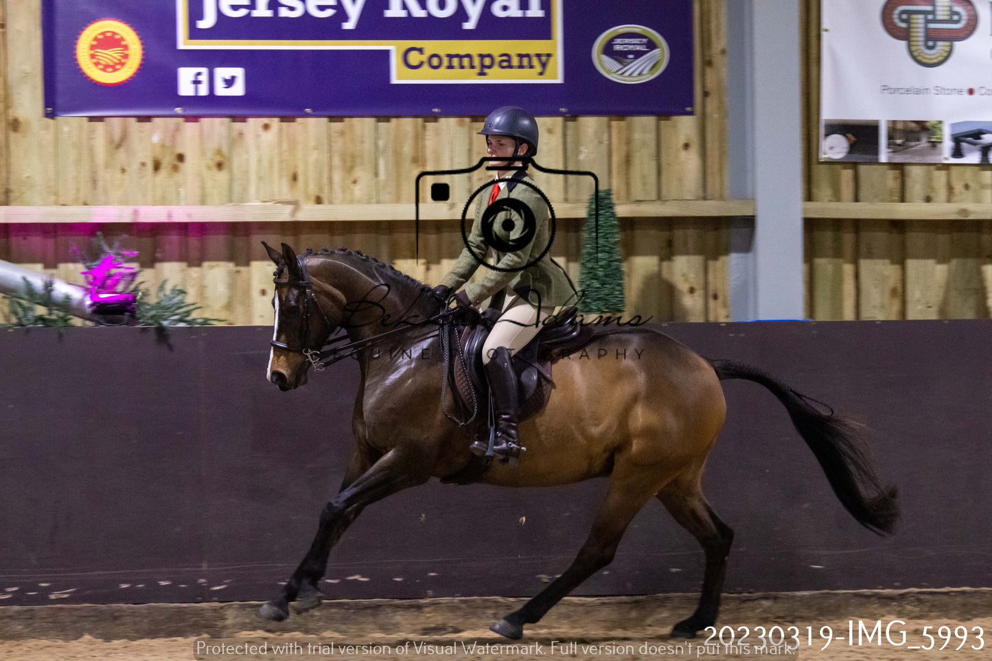 Home Farm Showing 19th March (Ridden) Pt 1