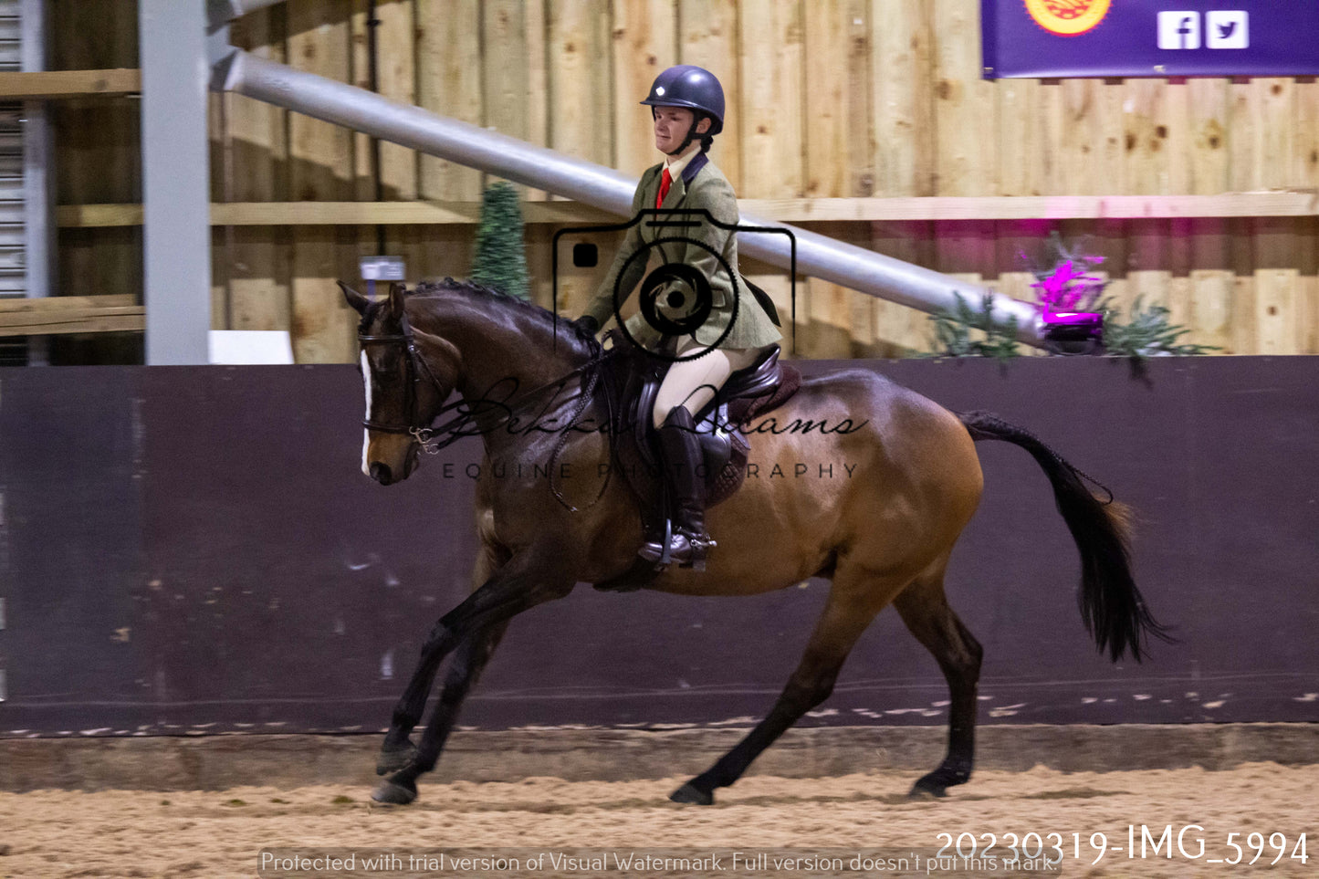 Home Farm Showing 19th March (Ridden) Pt 1