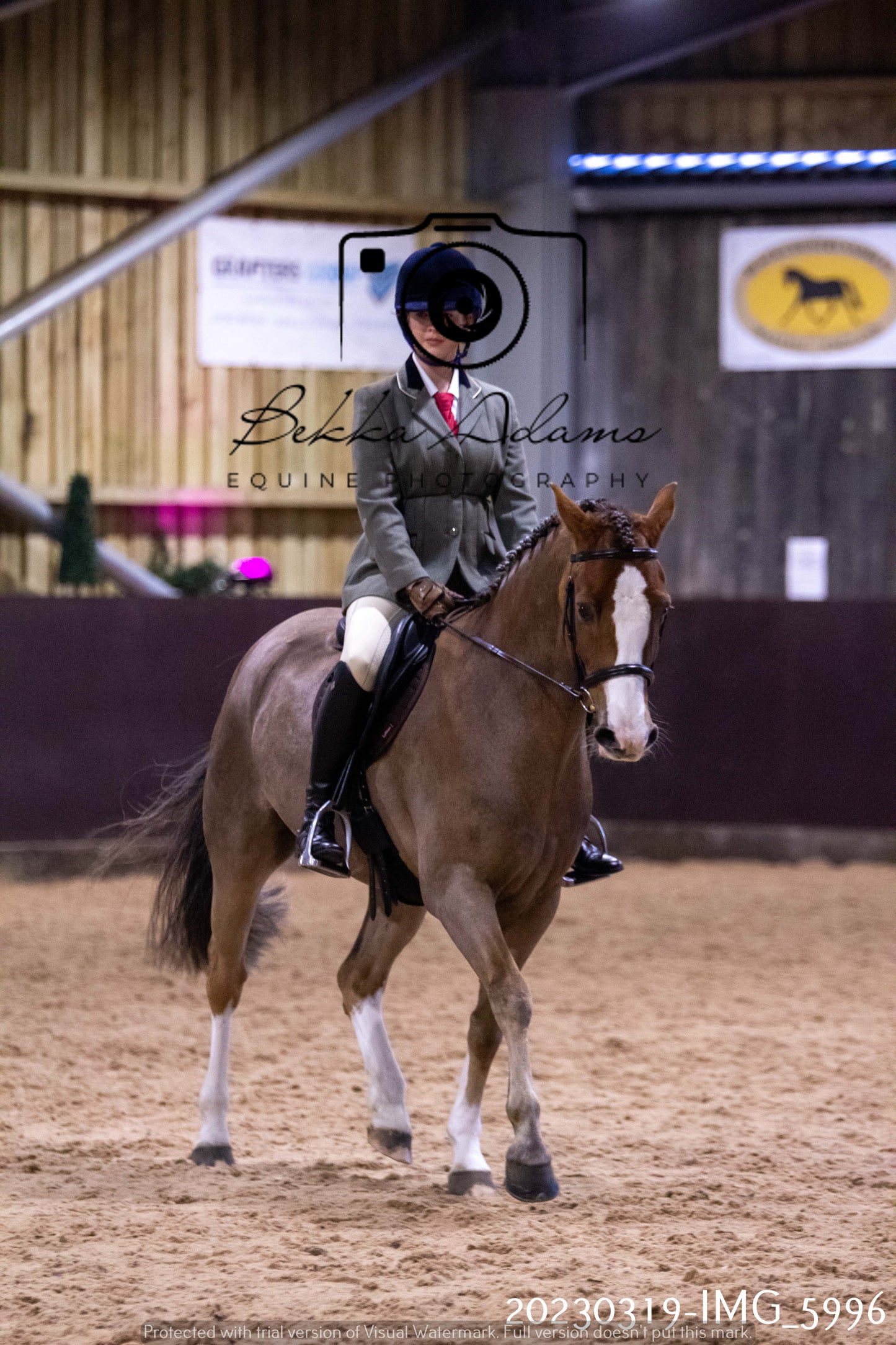 Home Farm Showing 19th March (Ridden) Pt 1
