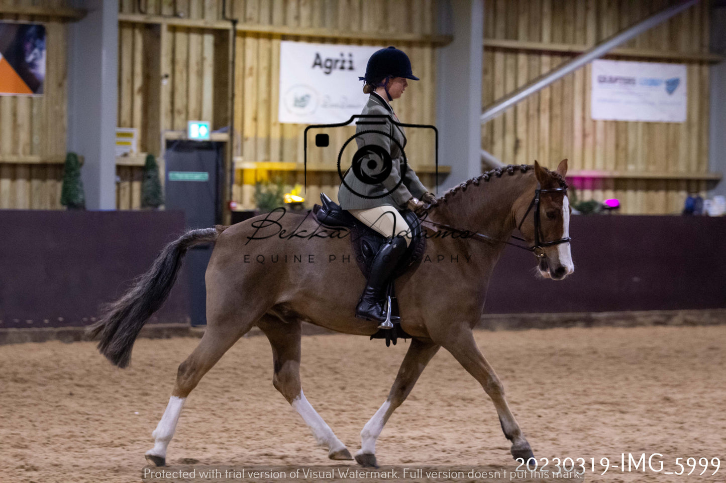Home Farm Showing 19th March (Ridden) Pt 1