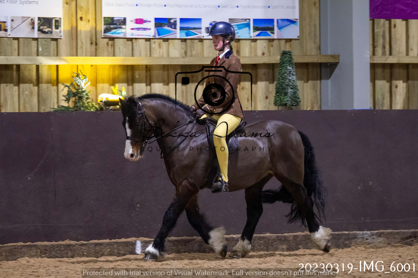 Home Farm Showing 19th March (Ridden) Pt 1