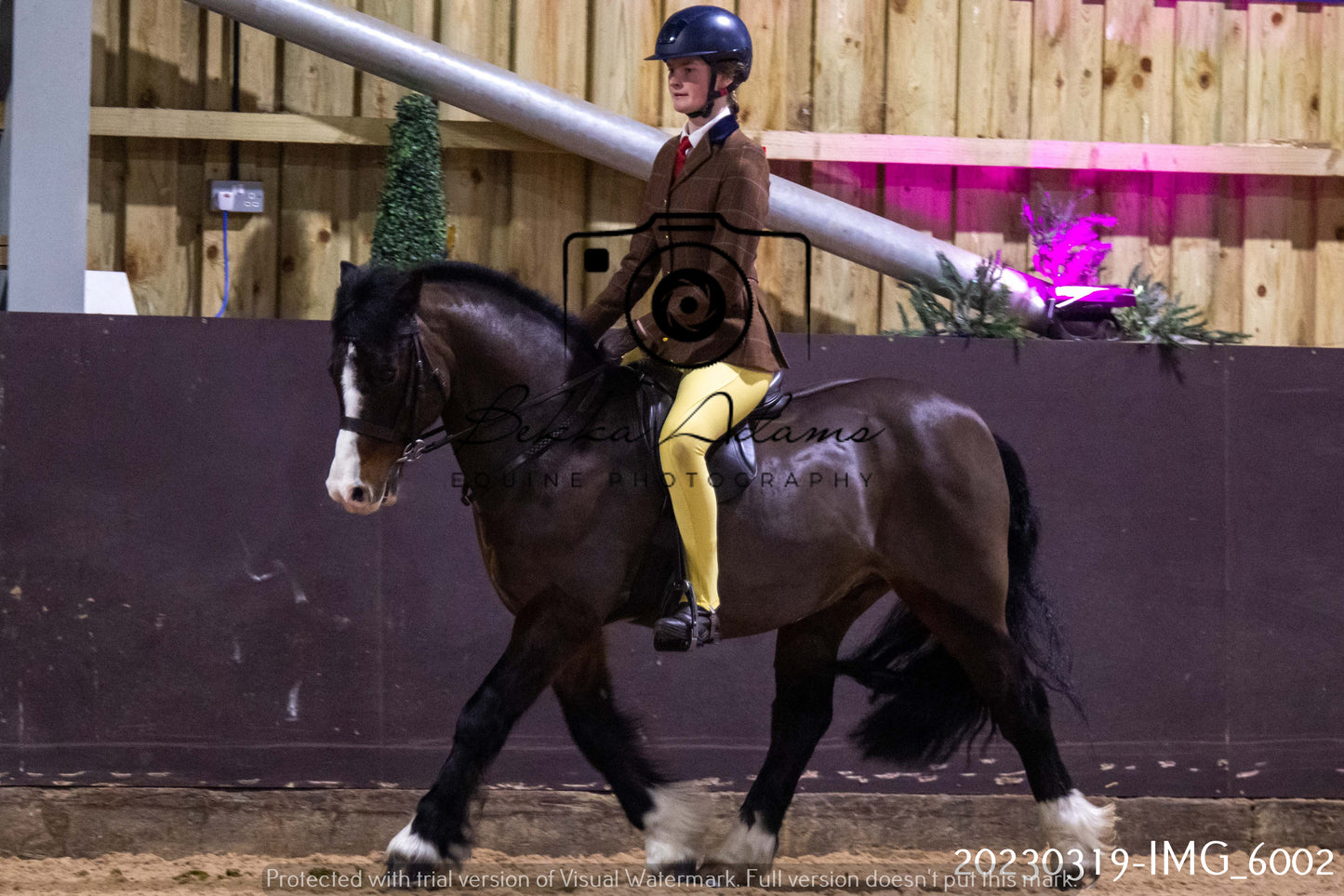 Home Farm Showing 19th March (Ridden) Pt 1