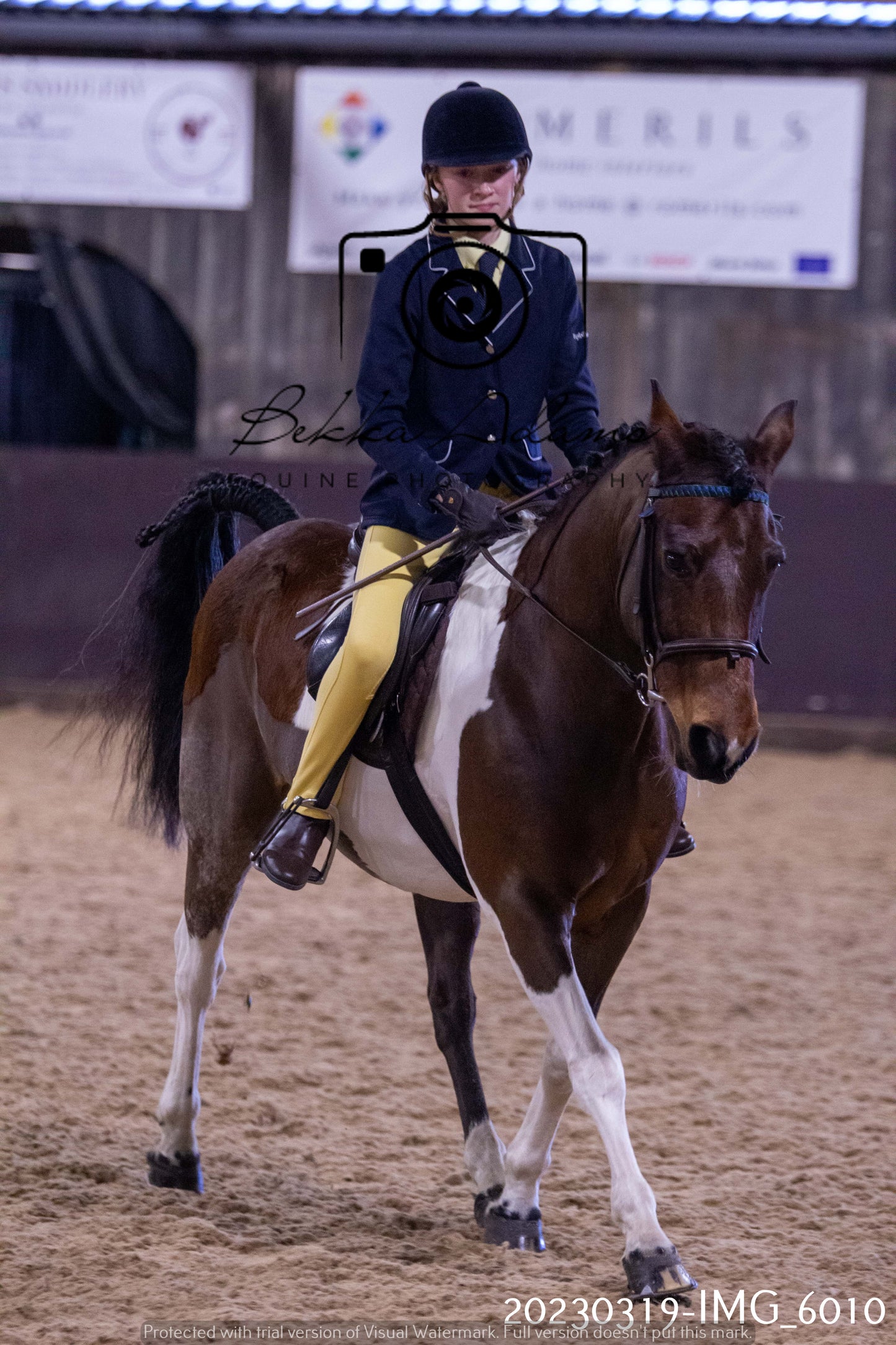 Home Farm Showing 19th March (Ridden) Pt 1