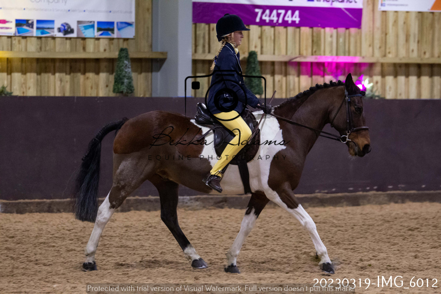 Home Farm Showing 19th March (Ridden) Pt 1