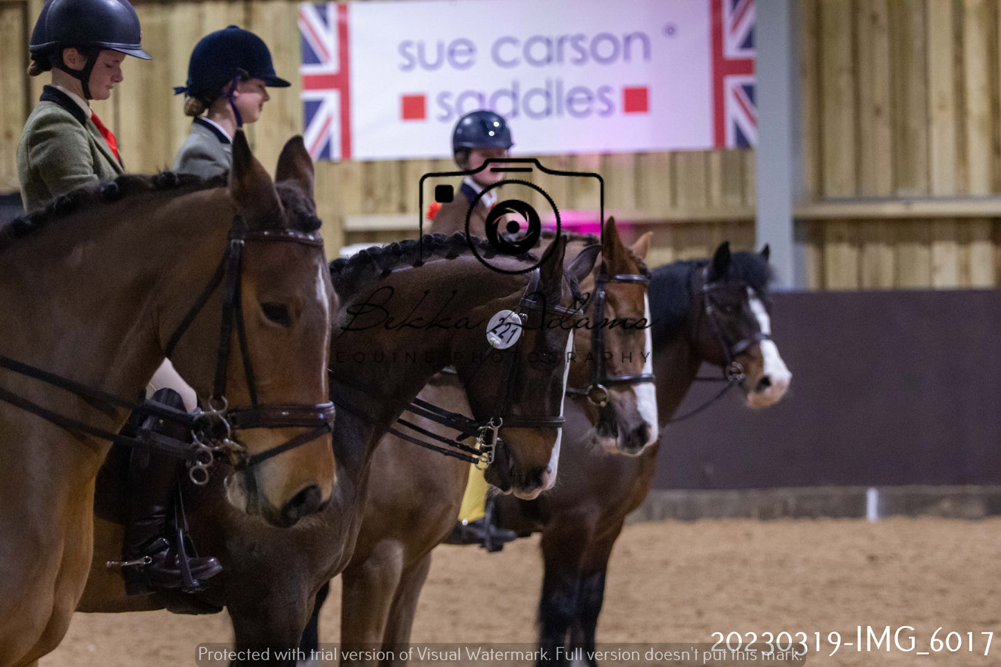 Home Farm Showing 19th March (Ridden) Pt 1