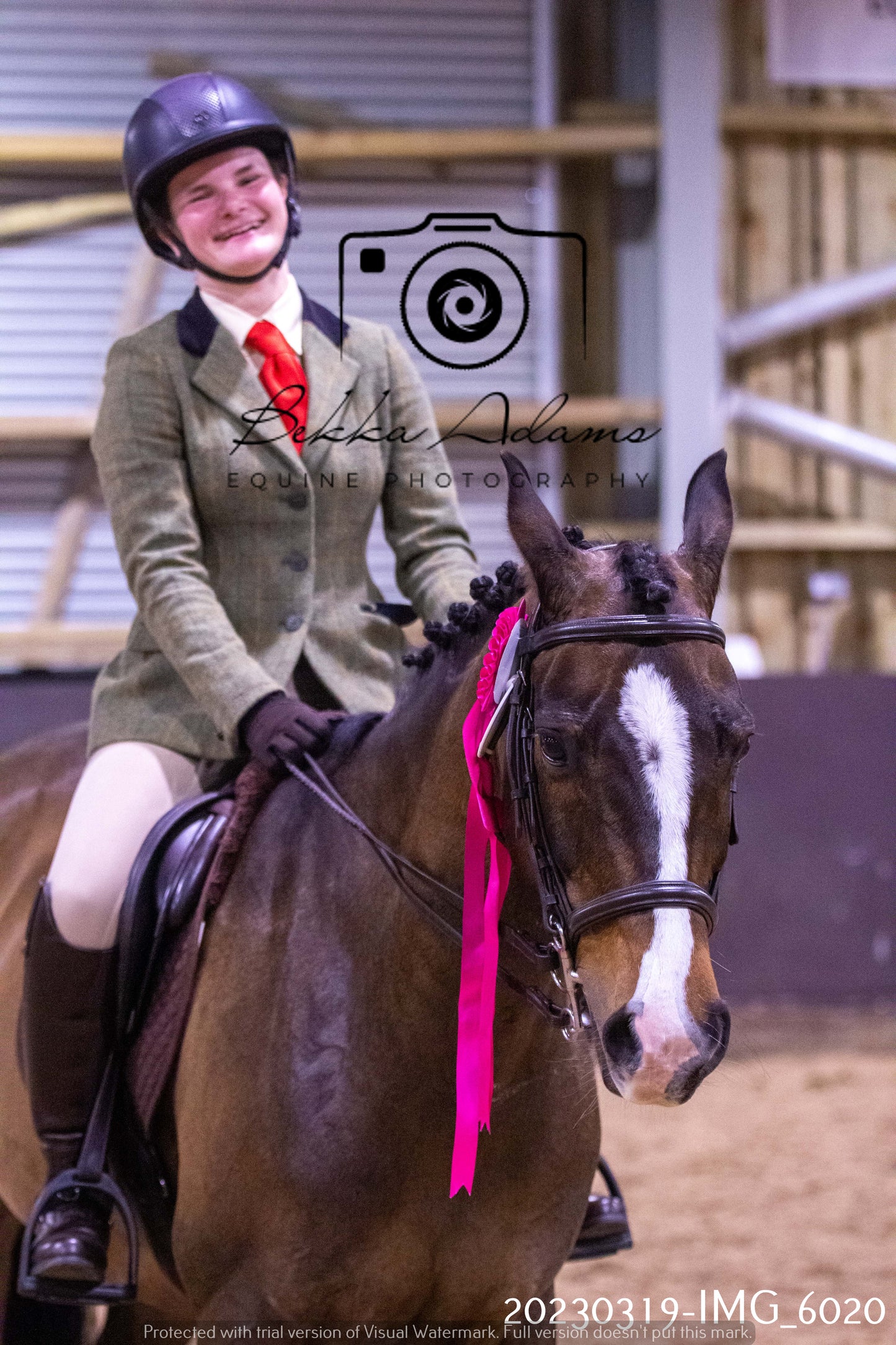 Home Farm Showing 19th March (Ridden) Pt 1