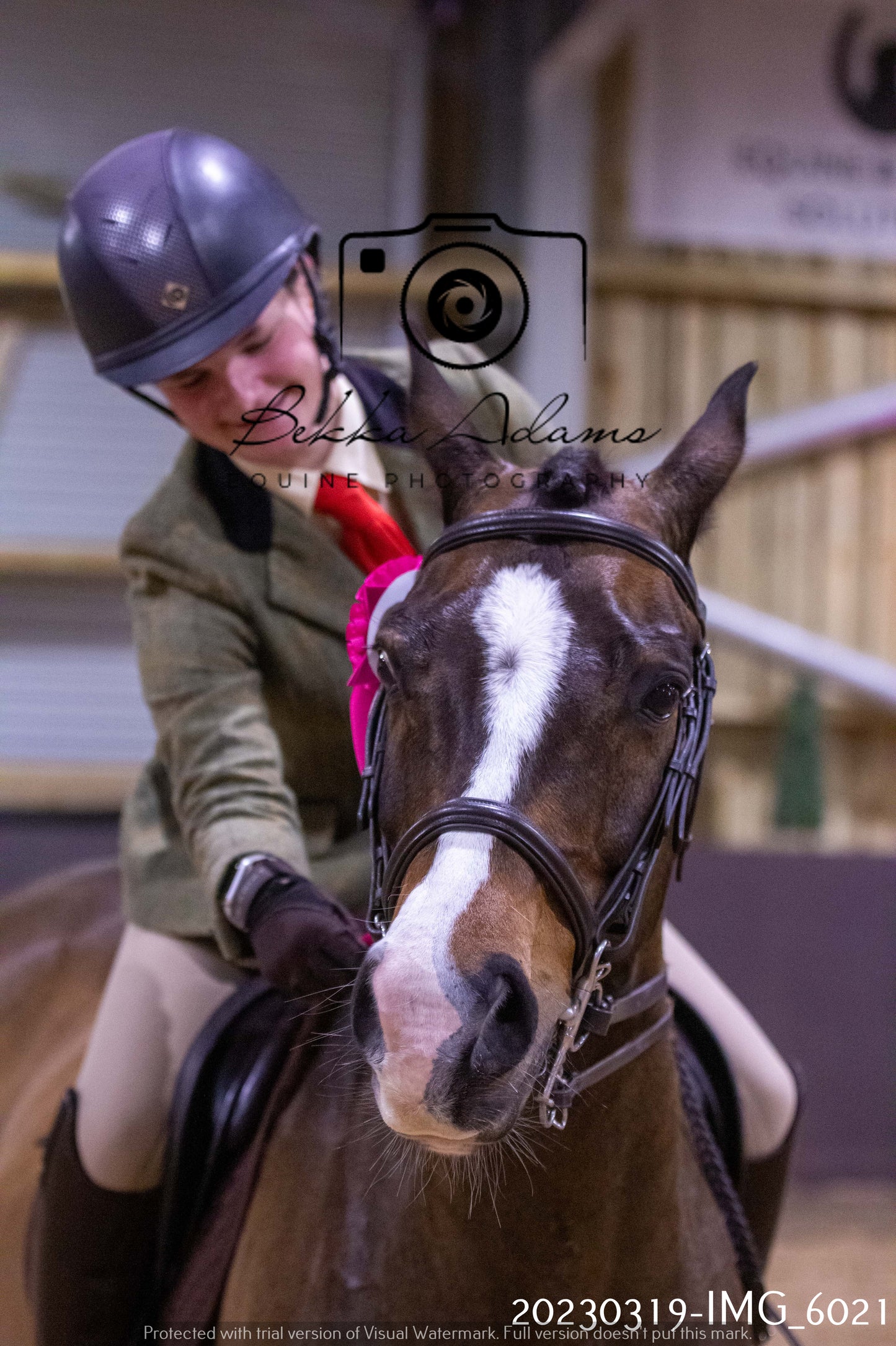 Home Farm Showing 19th March (Ridden) Pt 1