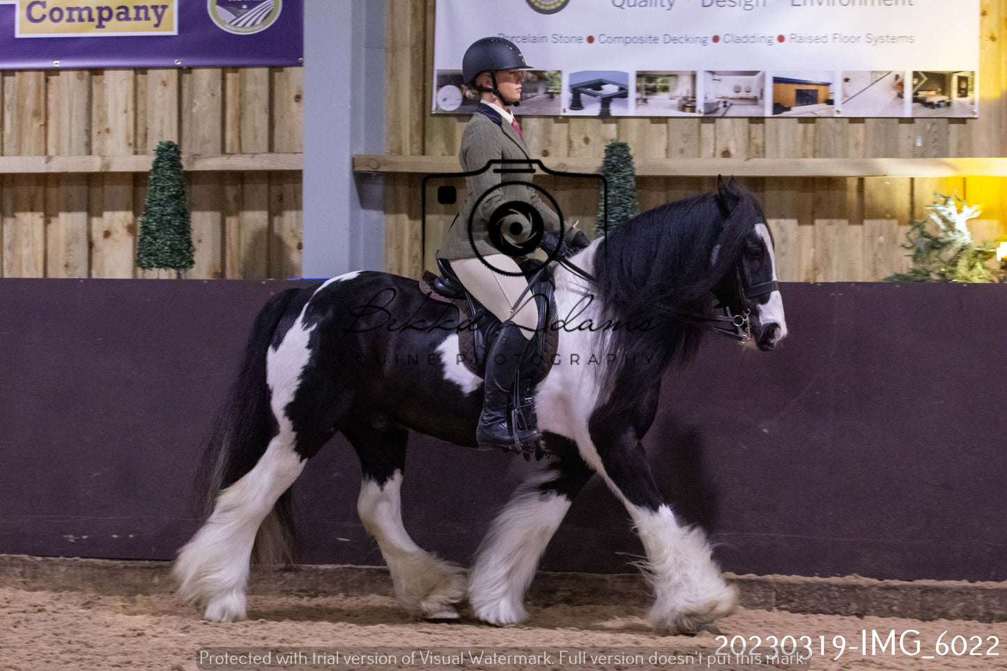 Home Farm Showing 19th March (Ridden) Pt 1