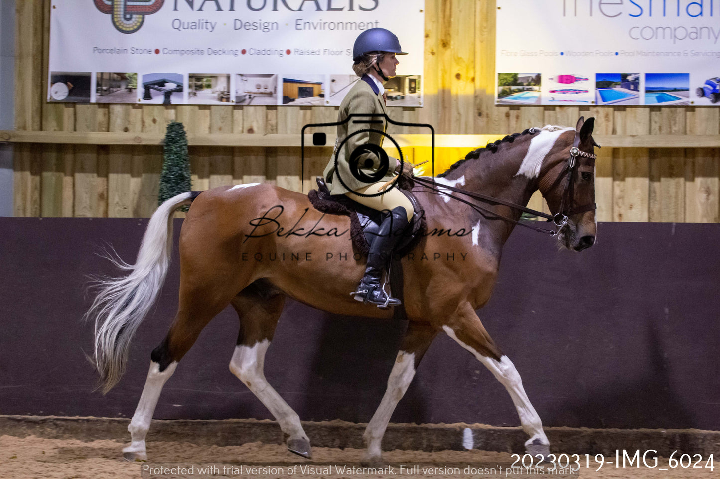 Home Farm Showing 19th March (Ridden) Pt 1