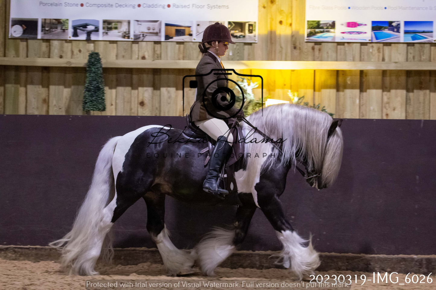 Home Farm Showing 19th March (Ridden) Pt 1