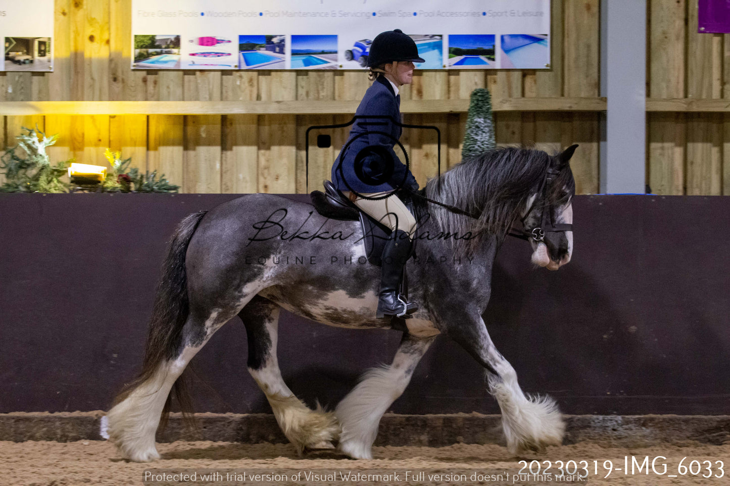 Home Farm Showing 19th March (Ridden) Pt 1