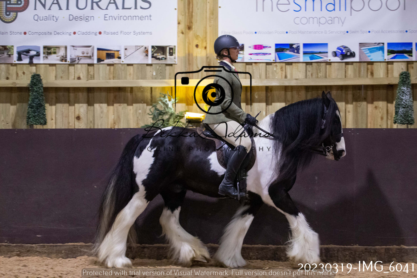 Home Farm Showing 19th March (Ridden) Pt 1