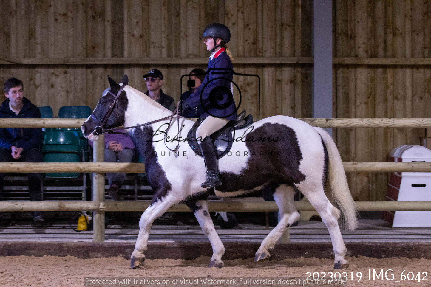 Home Farm Showing 19th March (Ridden) Pt 1