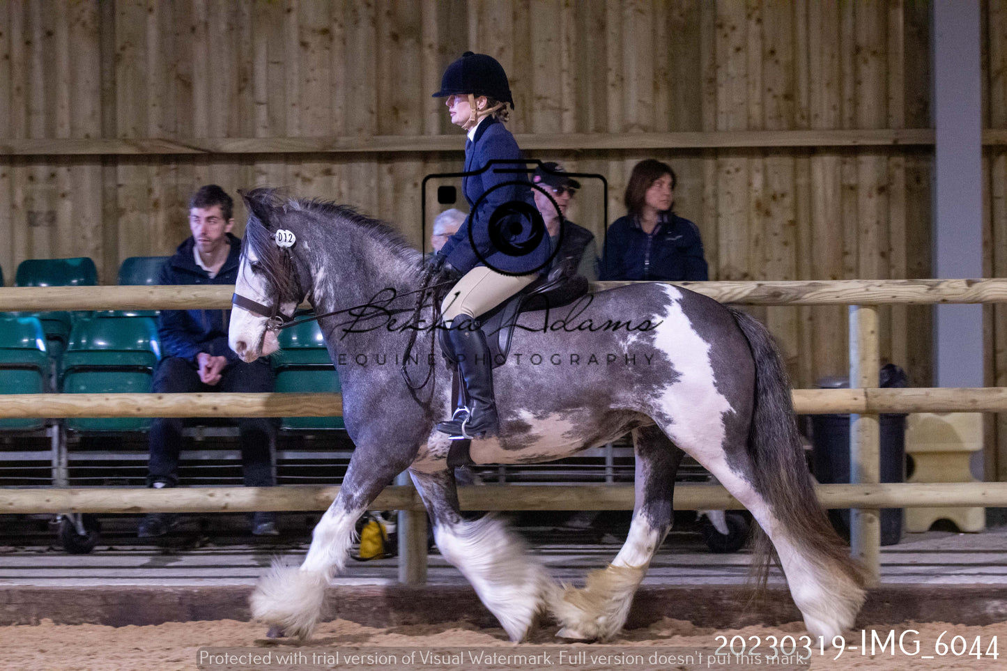 Home Farm Showing 19th March (Ridden) Pt 1