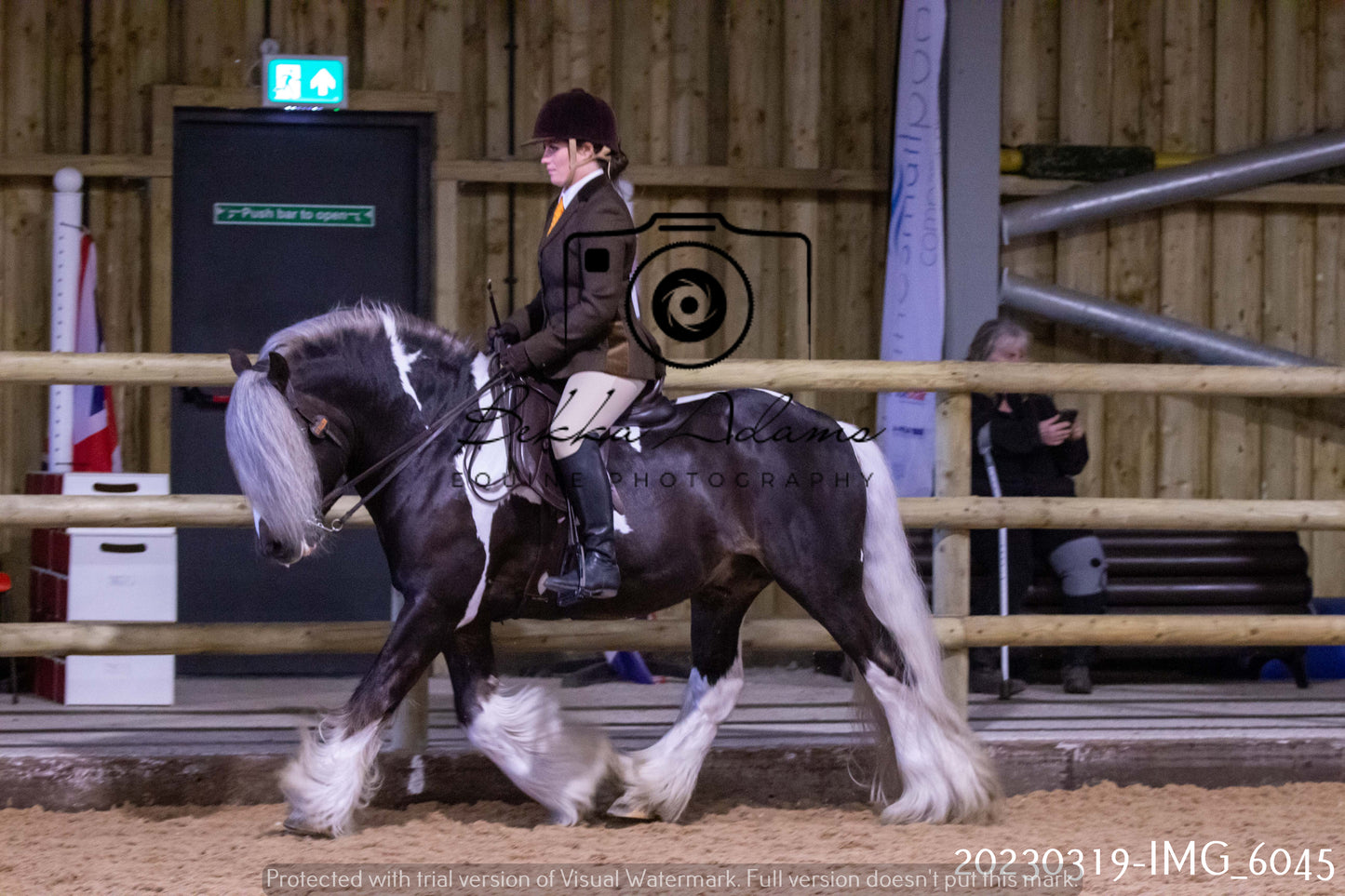 Home Farm Showing 19th March (Ridden) Pt 1