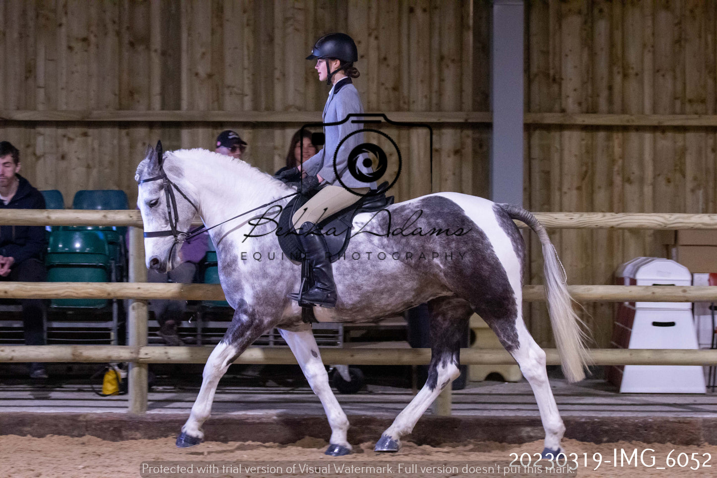Home Farm Showing 19th March (Ridden) Pt 1