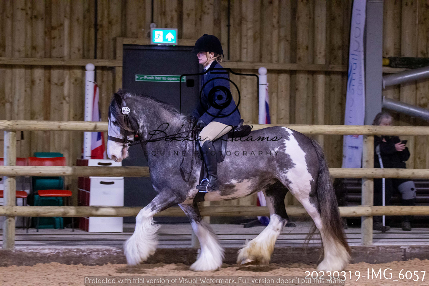 Home Farm Showing 19th March (Ridden) Pt 1