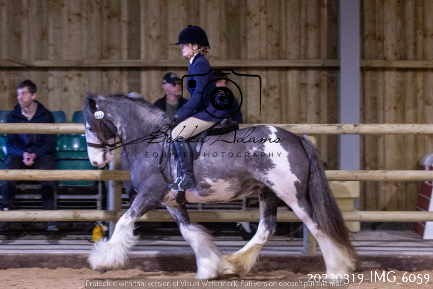 Home Farm Showing 19th March (Ridden) Pt 1