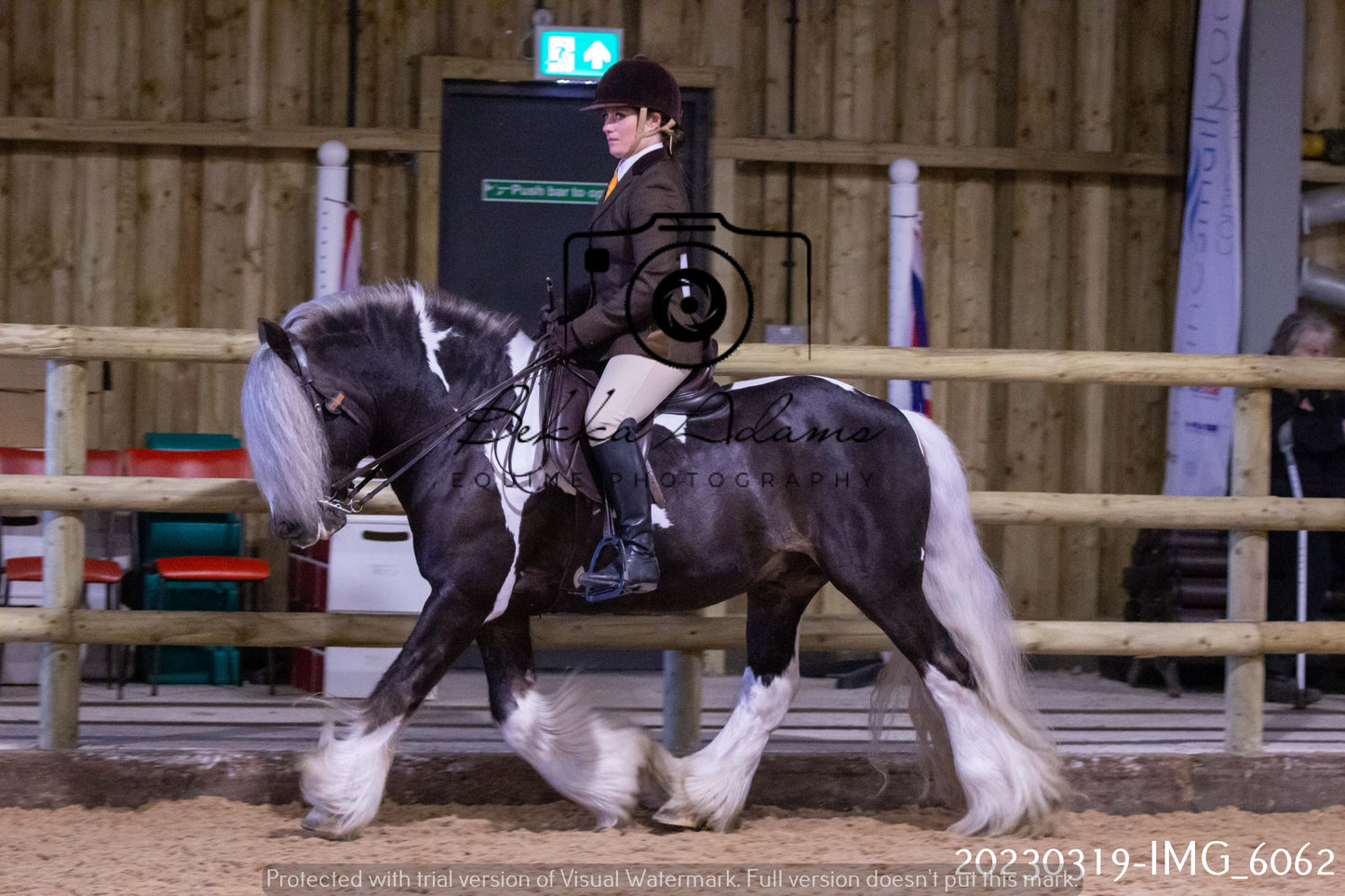 Home Farm Showing 19th March (Ridden) Pt 1